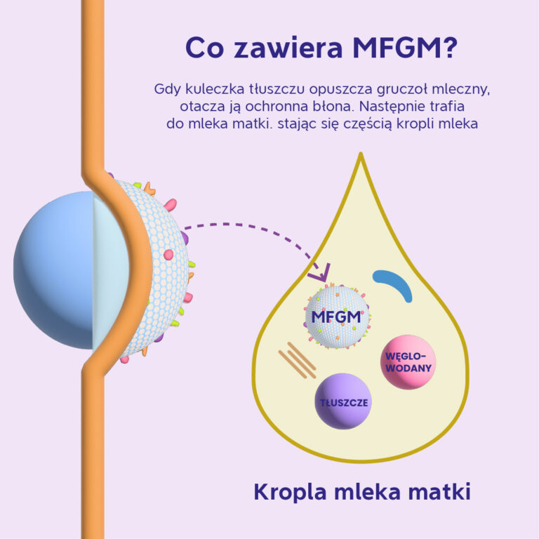 MFGM – tłuszcz mleczny w mleku modyfikowanym Mamilac